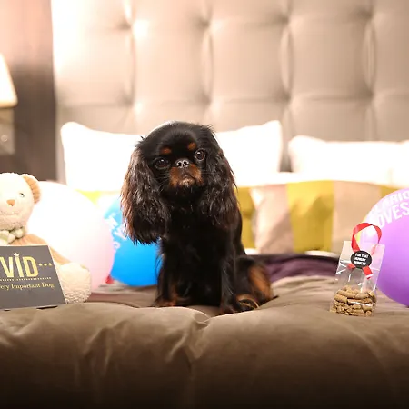 クラリオン アドミラル 4*